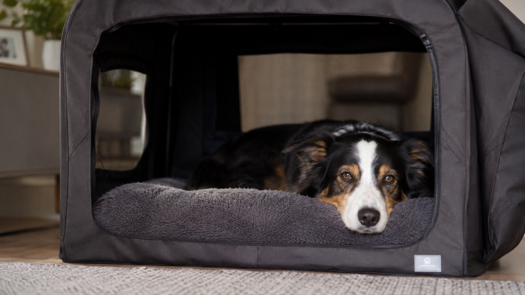 best dog crates for anxious dogs