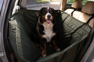 best dog seat covers for back seat