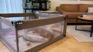 best dog playpens for indoors