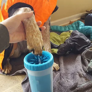 best dog paw cleaners
