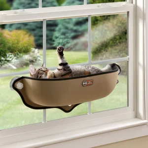 best window perches for cats