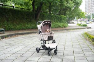 best dog strollers for small dogs