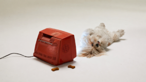 best smart dog cameras with treat dispenser