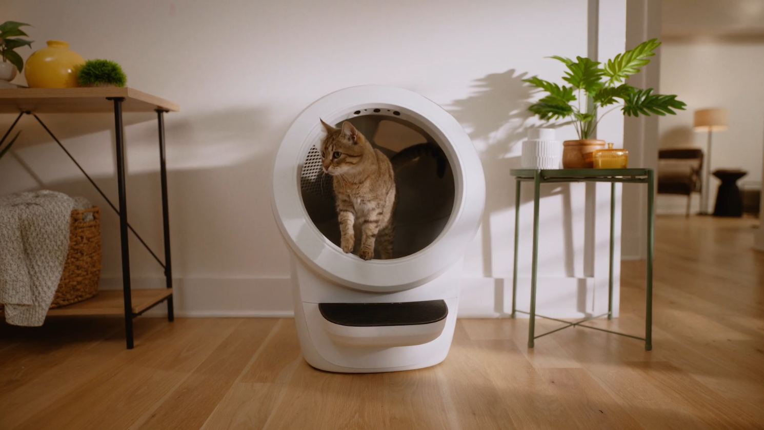 best robot litter boxes