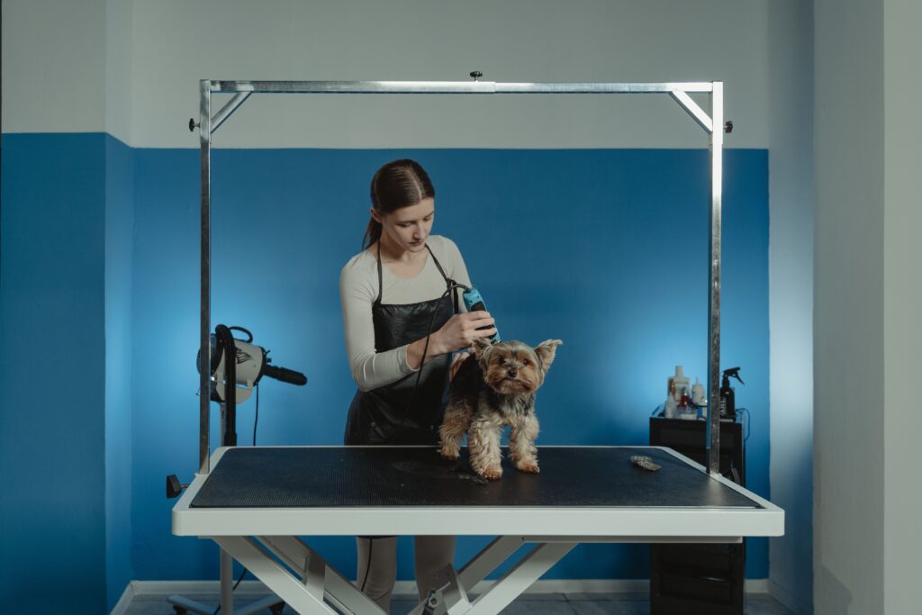 best dog clippers for thick coats